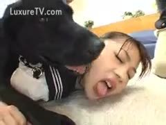 Asian bitch licking a dog s gazoo